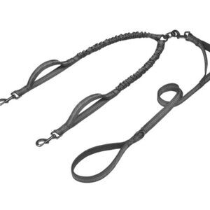 Double Dog Leash